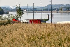 Cliquez sur la vignette pour l'agrandir